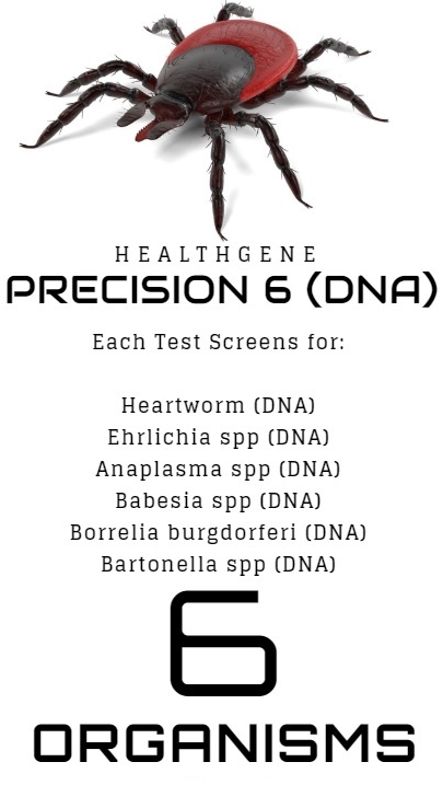 Precision-6-promotion-healthgene-dna-test-4dx-veterinary-tick-lyme-disease-testing-diagnostic-laboratory-toronto-canada
