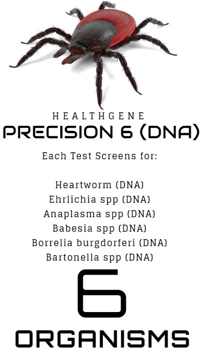 Heartworm DNA Testing - HealthGene l 